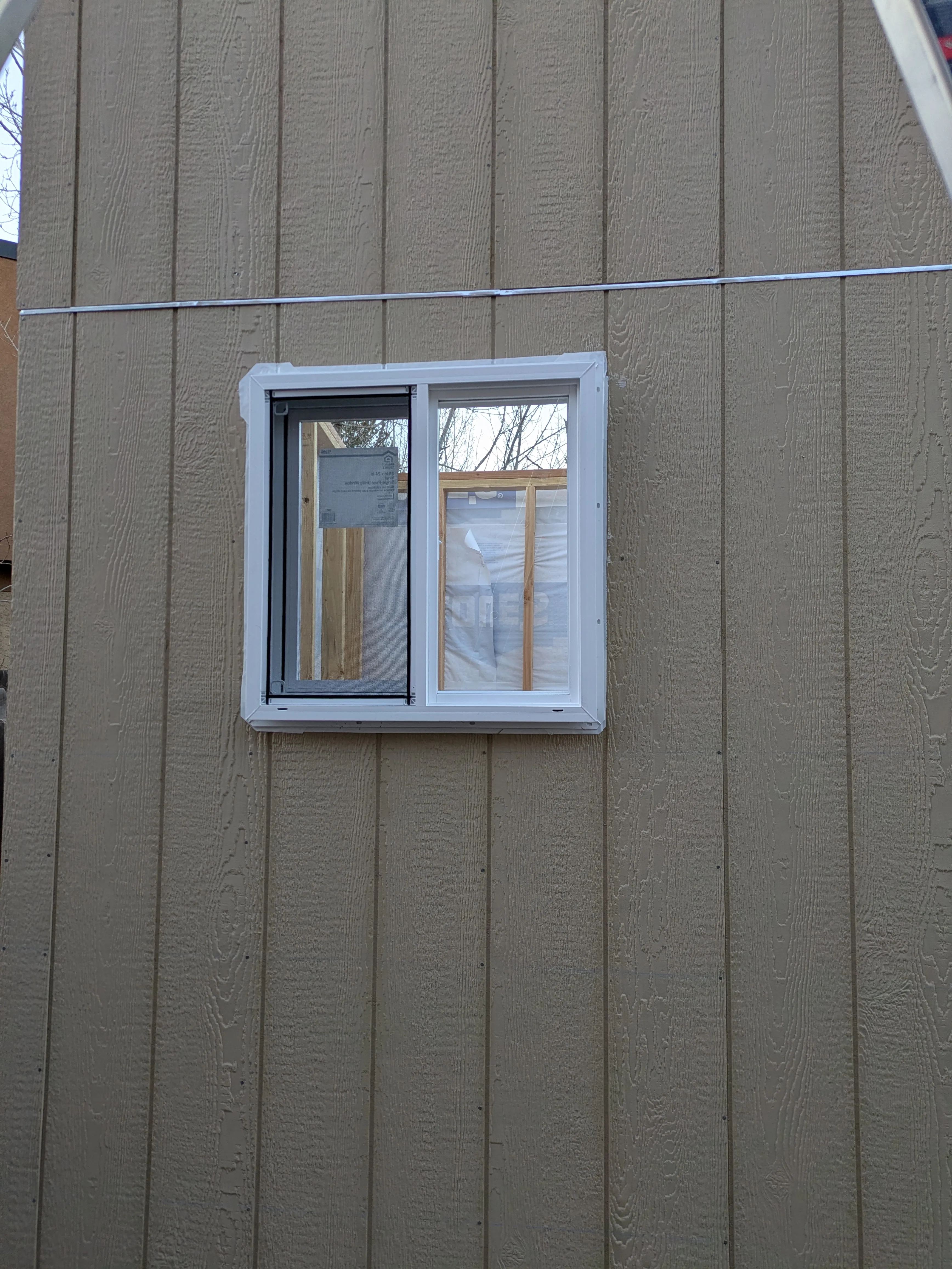 Window